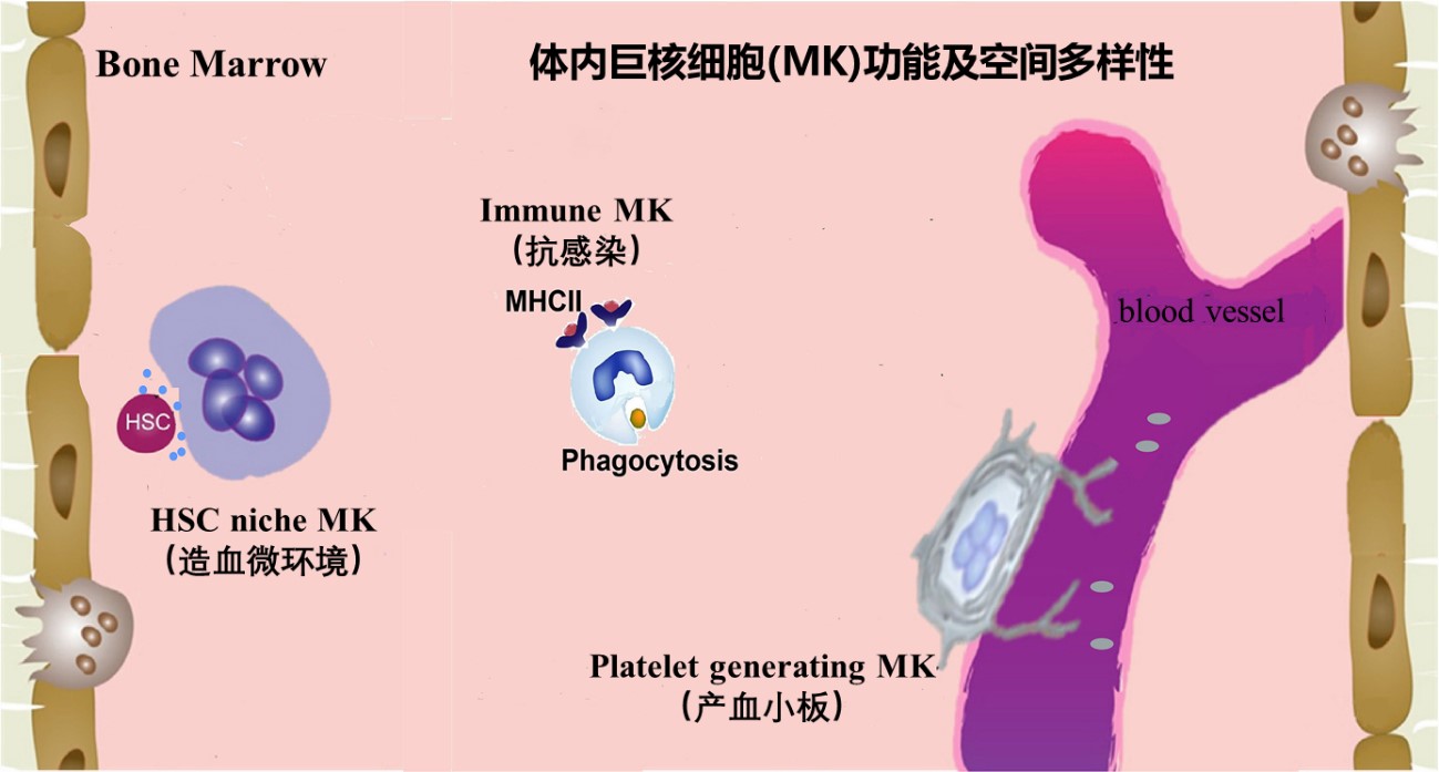 兴发娱乐·(中国)官网登录入口