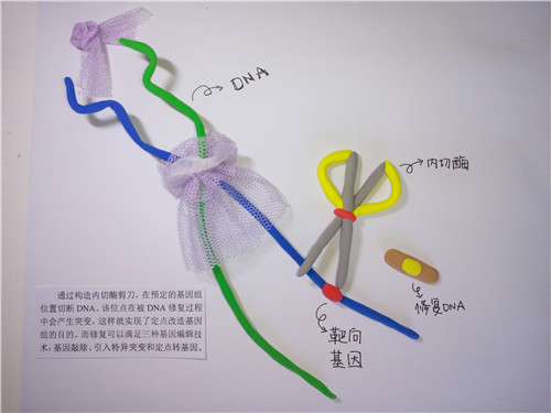 兴发娱乐·(中国)官网登录入口